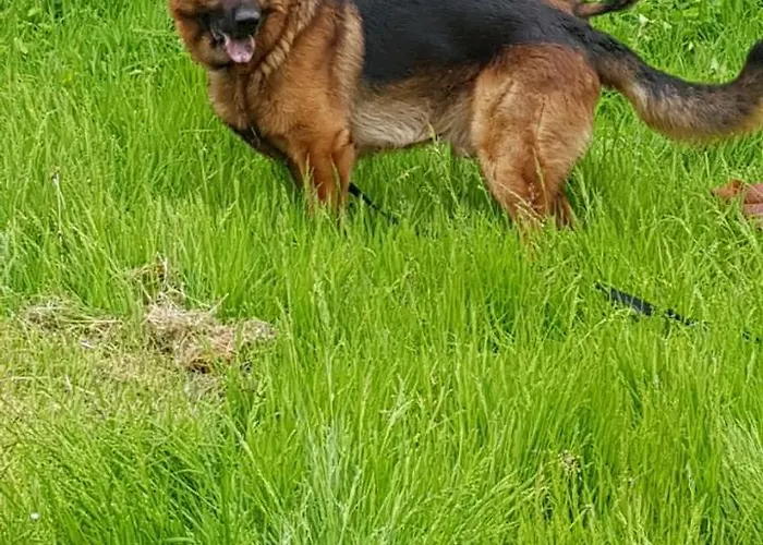 Mi Bed and breakfast