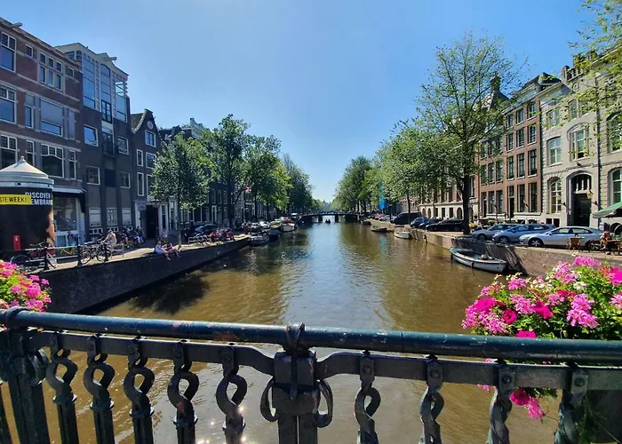 Mi Ámsterdam