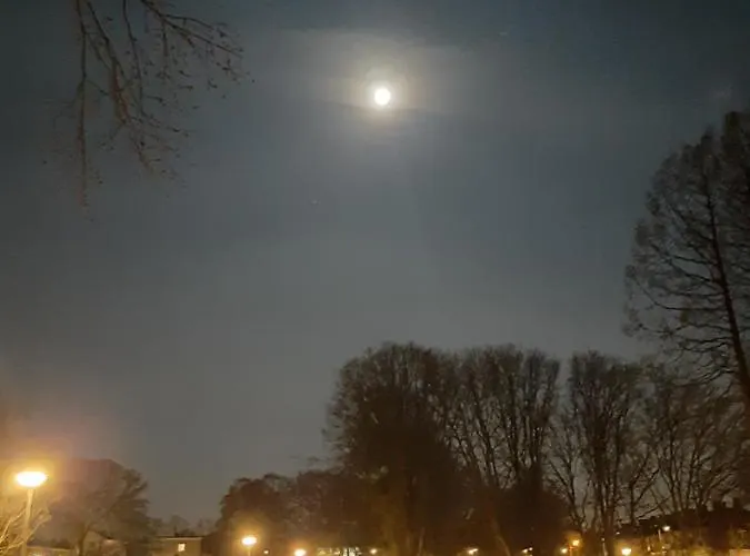 Bed and breakfast Mi