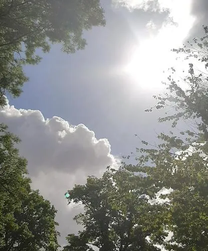 Bed and breakfast Mi