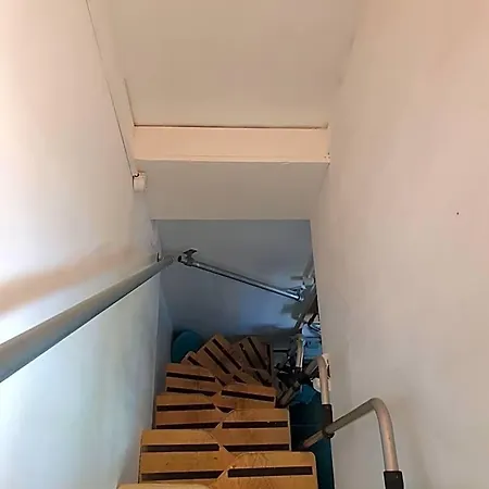 Mi