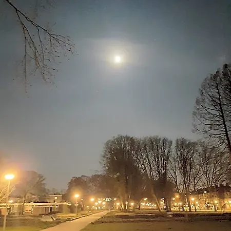 Mi