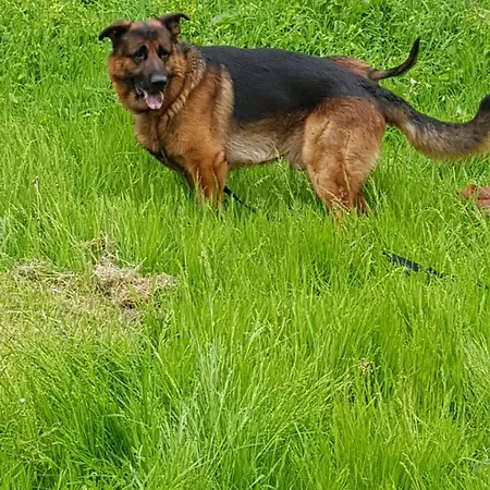 Mi ベッド・アンド・ブレックファスト